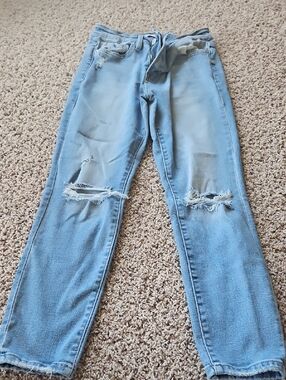 Zenana Outfitters Light Blue Distressed Boyfriend Jeans